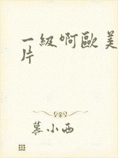 一级啊欧美日韩片