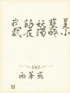 我的妖孽美女总裁夜独醉小说下载