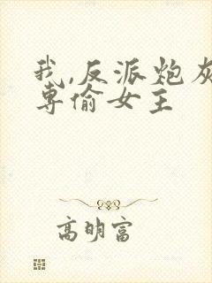 我,反派炮灰,专偷女主