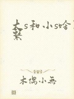 大s和小s啥关系