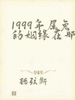 1999年属兔的姻缘在哪年最旺