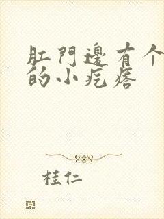 肛门边有个白色的小疙瘩