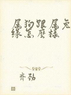 属狗跟属兔的姻缘怎么样