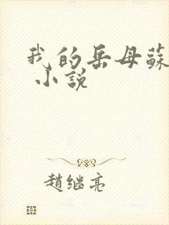 我的岳母苏沛真 小说