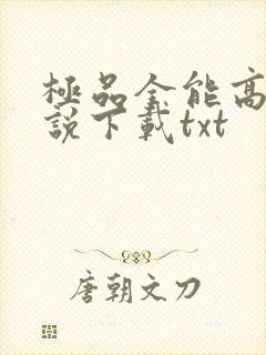 极品全能高手小说下载txt