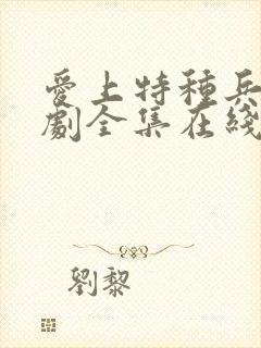 爱上特种兵电视剧全集在线免费