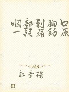 咽部到胸口处这一段痛的原因