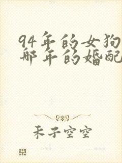 94年的女狗与哪年的婚配合适封面