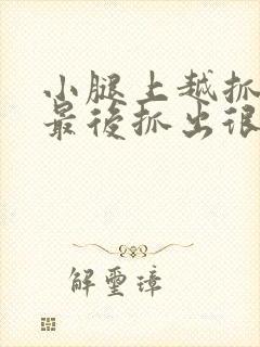 小腿上越抓越痒最后抓出很多小疙瘩