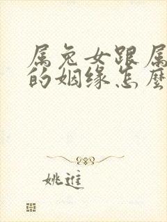 属兔女跟属狗男的姻缘怎么样