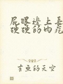 屁眼边上长了个硬硬的肉疙瘩