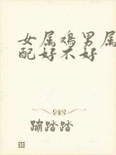 女属鸡男属狗婚配好不好