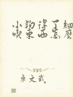 小狗得了细小不吃东西怎么办