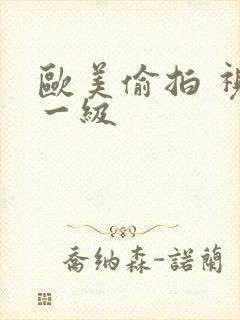 欧美偷拍 视频一级封面