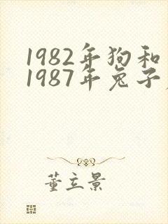 1982年狗和1987年兔子属相合不合封面