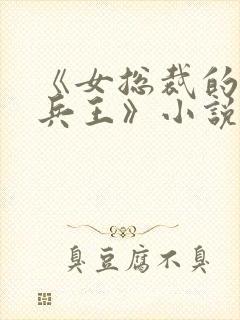 《女总裁的贴身兵王》小说