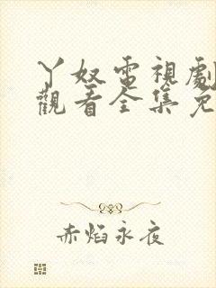 丫奴电视剧在线观看全集免费封面