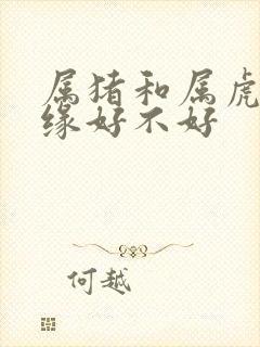 属猪和属虎的姻缘好不好