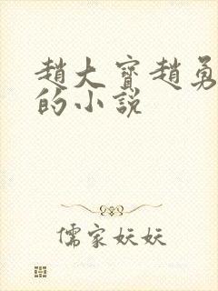赵大宝赵勇苏媚的小说