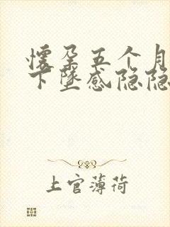 怀孕五个月肚子下坠感隐隐作痛封面