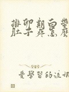 排卵期白带多小肚子疼怎么回事