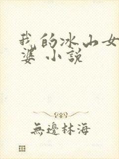 我的冰山女神老婆 小说