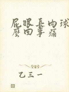 屁眼长肉球是怎么回事痛封面