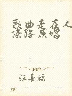 歌曲走在人生这条路原唱