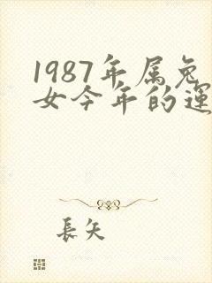 1987年属兔女今年的运势封面