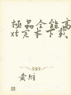 极品全能高手txt完本下载