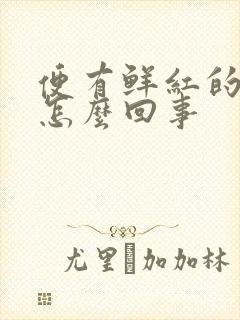 便有鲜红的血是怎么回事