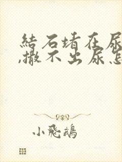 结石堵在尿道口,撒不出尿怎么办