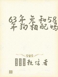 63年兔和58年狗相配吗封面