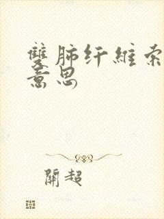 双肺纤维索条啥意思