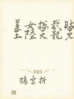 美女总裁贴身兵王陆天龙免费阅读