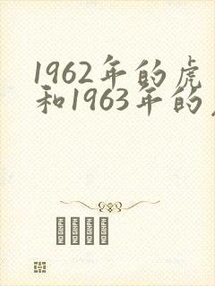 1962年的虎和1963年的兔婚姻会怎样