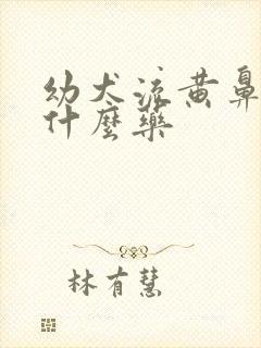 幼犬流黄鼻涕用什么药