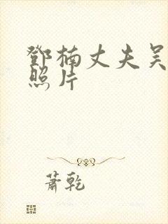 邓楠丈夫吴晓晖照片