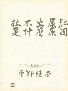 拉不出屎肚子疼是什么原因