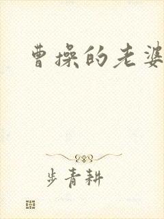 曹操的老婆叫啥