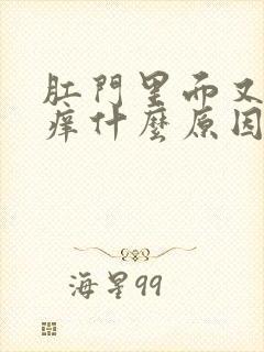 肛门里面又疼又痒什么原因