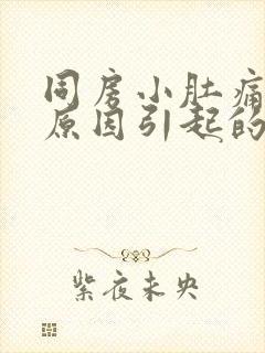 同房小肚痛什么原因引起的