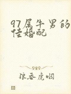 97属牛男的最佳婚配