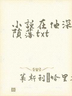 小说在他深情中陨落txt