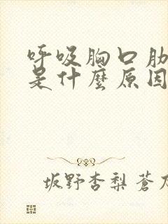 呼吸胸口肋骨疼是什么原因