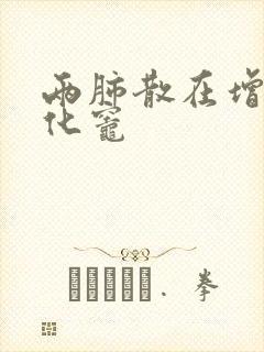 两肺散在增殖钙化灶