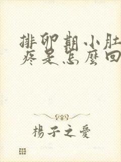 排卵期小肚子坠疼是怎么回事