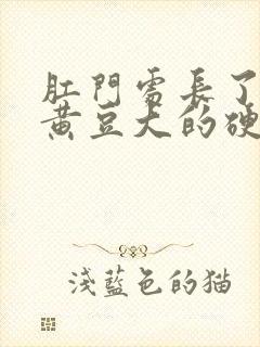 肛门处长了一个黄豆大的硬疙瘩封面