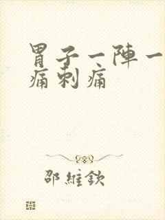 胃子一阵一阵绞痛刺痛封面