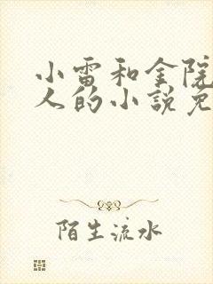 小雷和金院长夫人的小说免费阅读